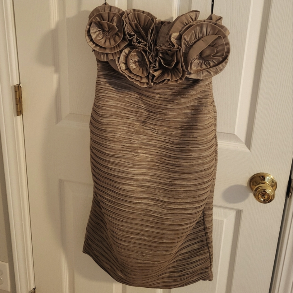 F21 Dress